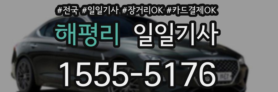 해평리 일일기사