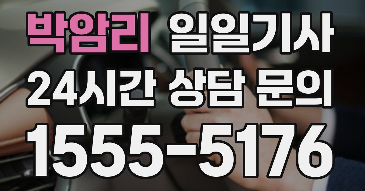 일일대리기사