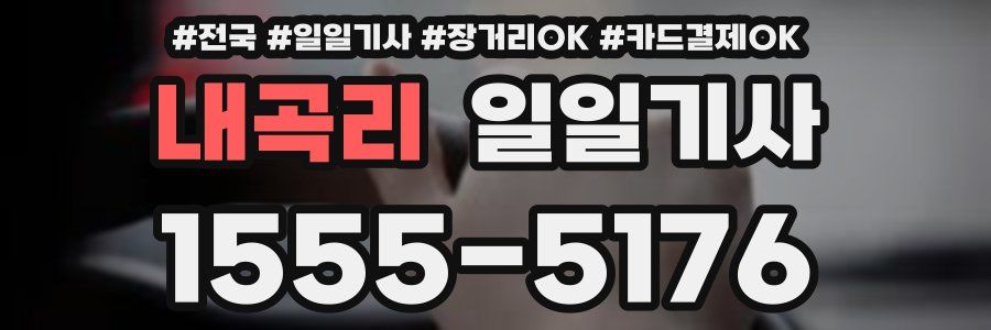 내곡리 일일기사