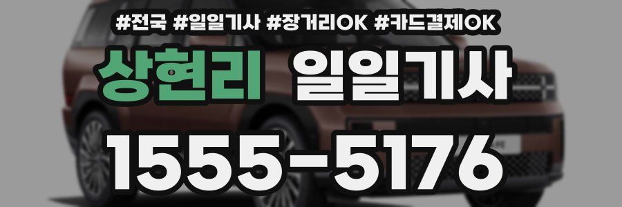 상현리 일일기사