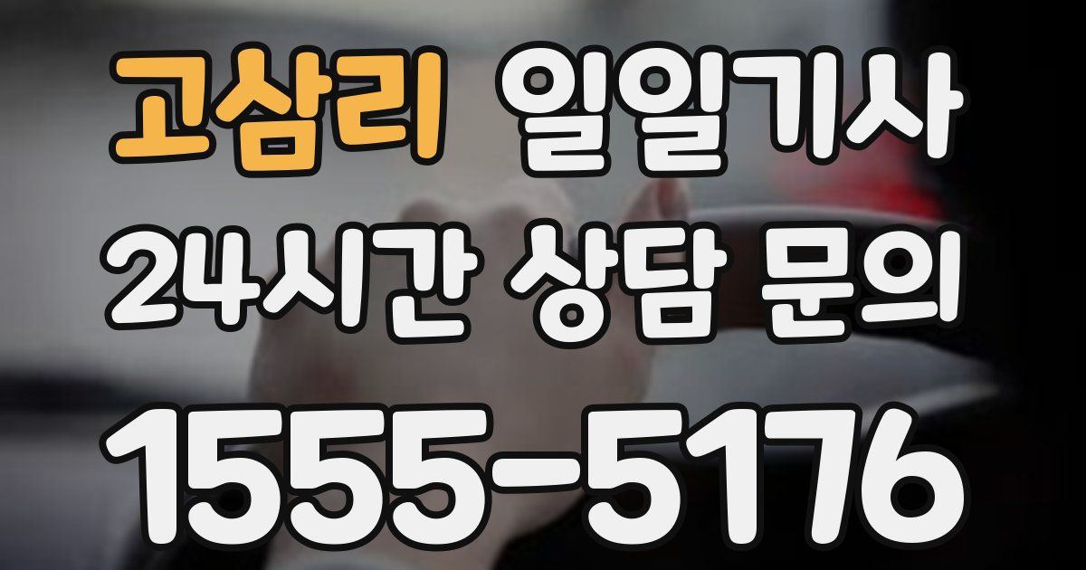 일일대리기사