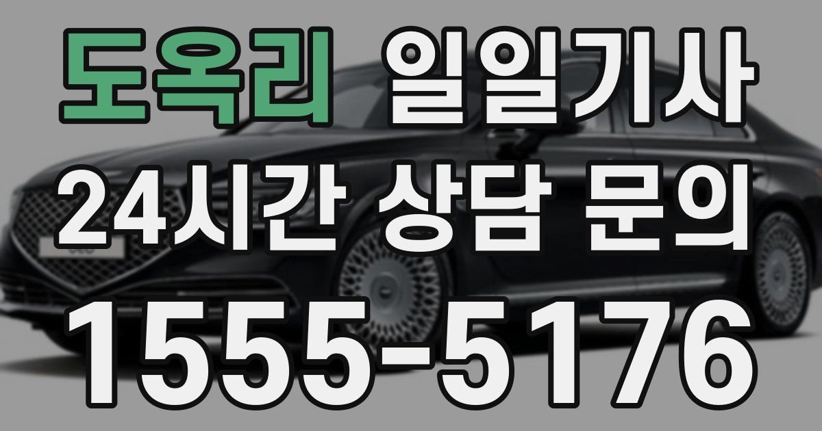일일대리기사