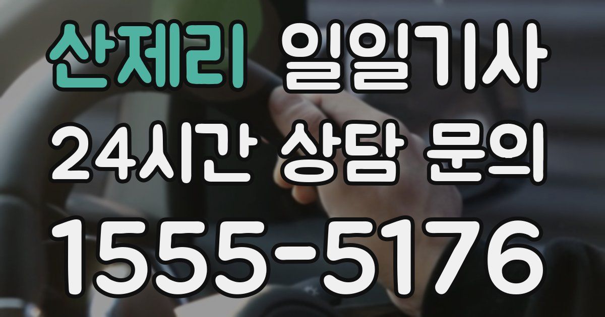 일일대리기사