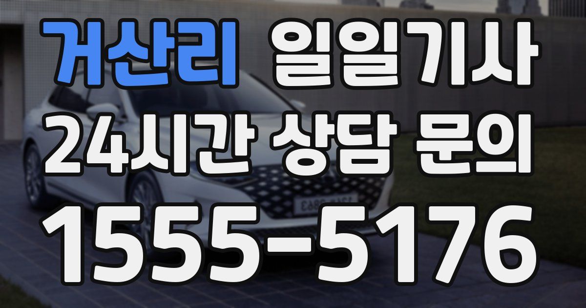 일일대리기사