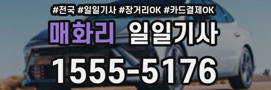 매화리 일일기사