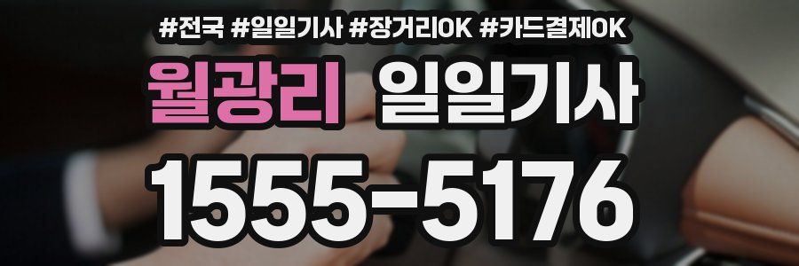 월광리 일일기사