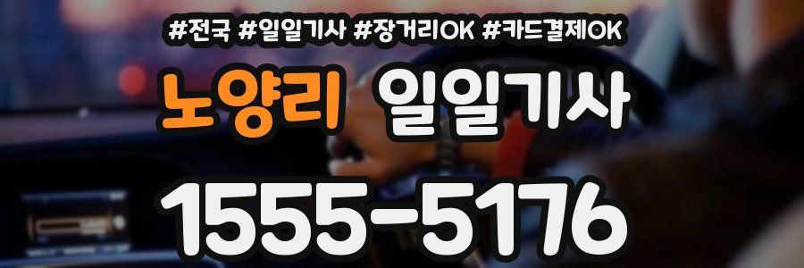 노양리 일일기사