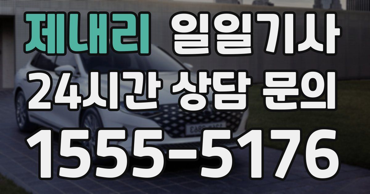 일일대리기사