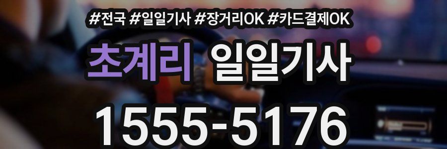 초계리 일일기사