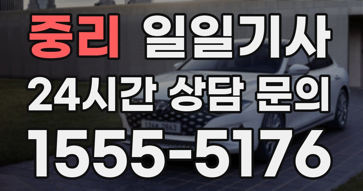 일일대리기사