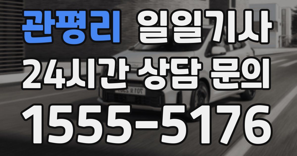 일일대리기사