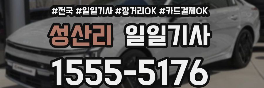 성산리 일일기사