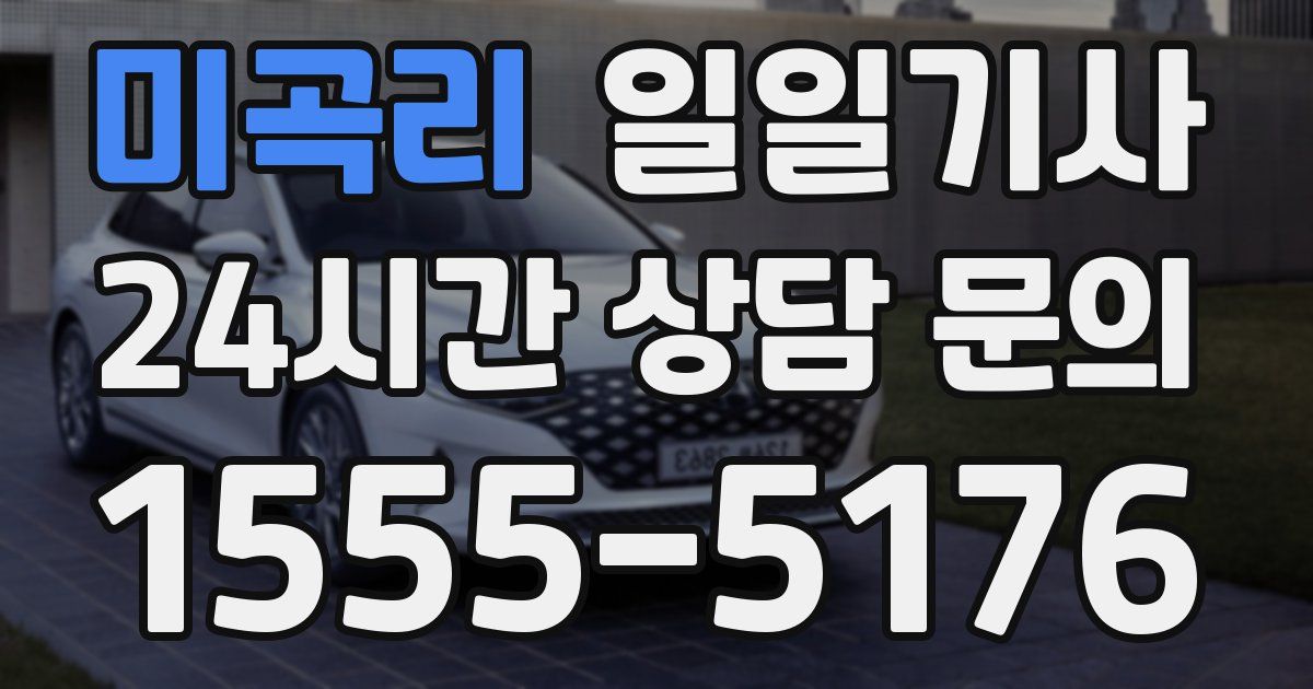 일일대리기사