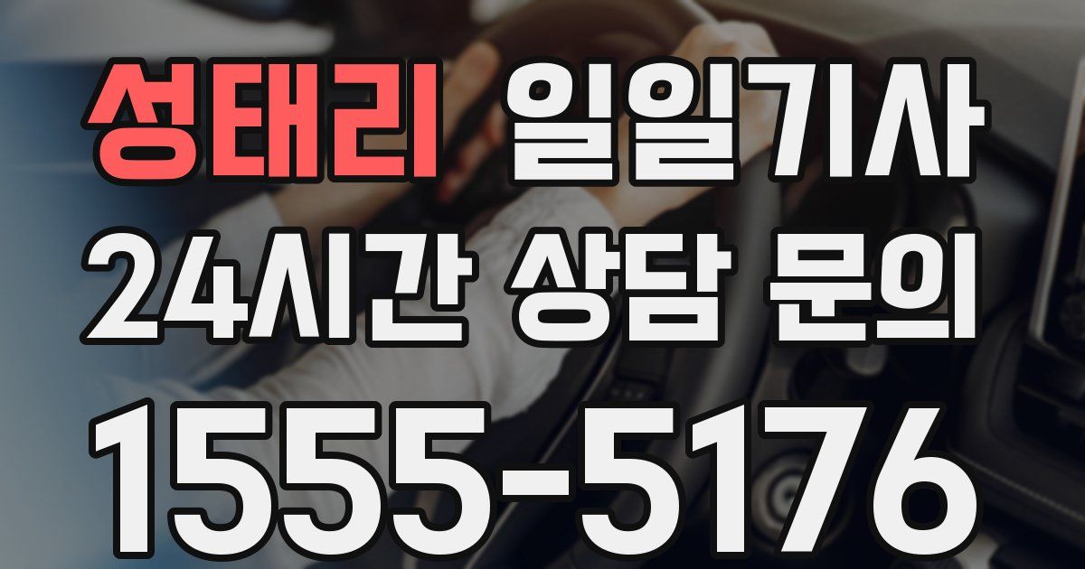 일일대리기사