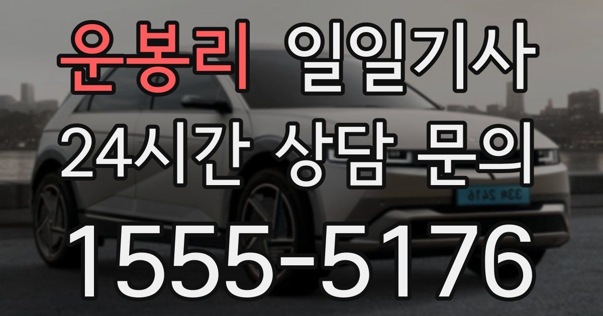 일일대리기사