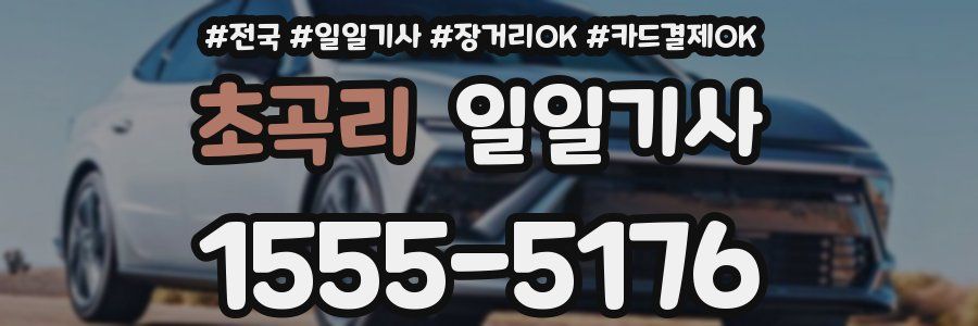 초곡리 일일기사