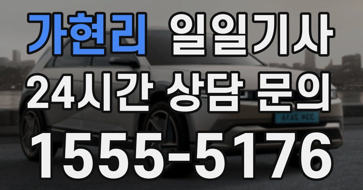 일일대리기사