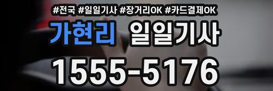 가현리 일일기사