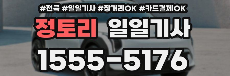 정토리 일일기사