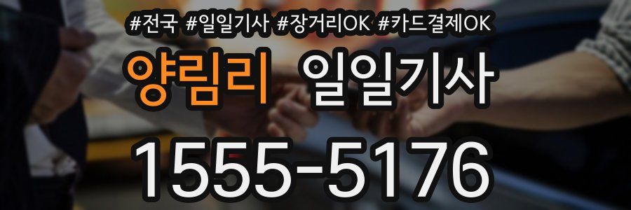 양림리 일일기사