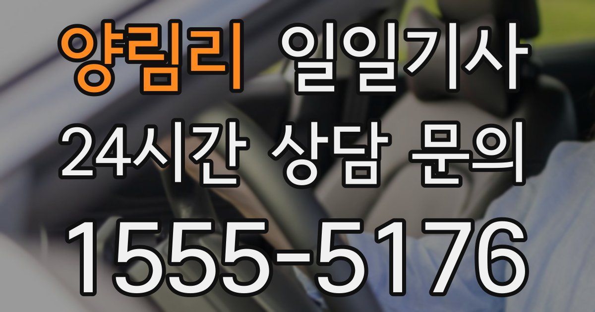 일일대리기사