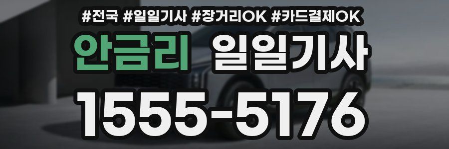 안금리 일일기사