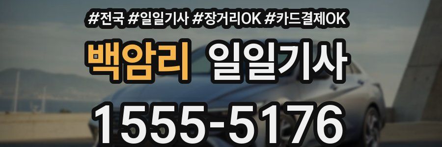 백암리 일일기사