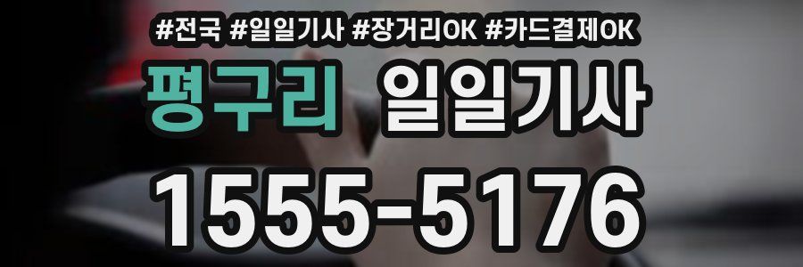 평구리 일일기사