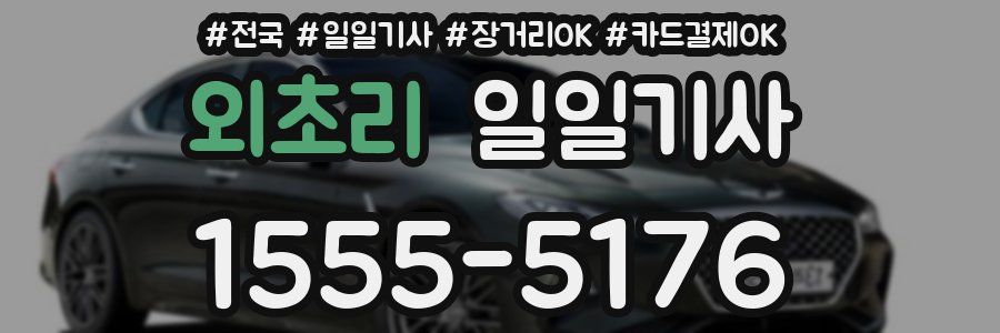 외초리 일일기사