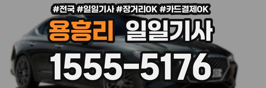 용흥리 일일기사