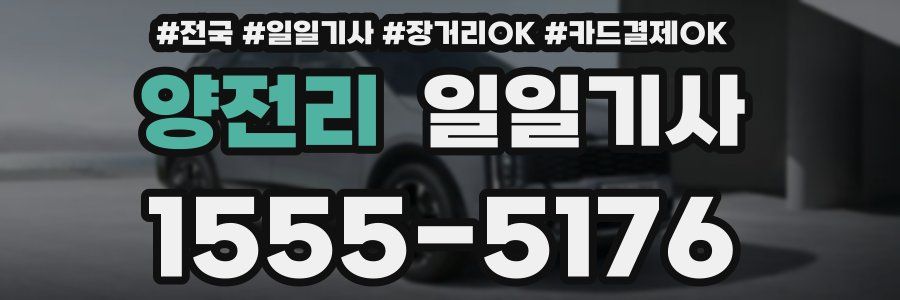 양전리 일일기사