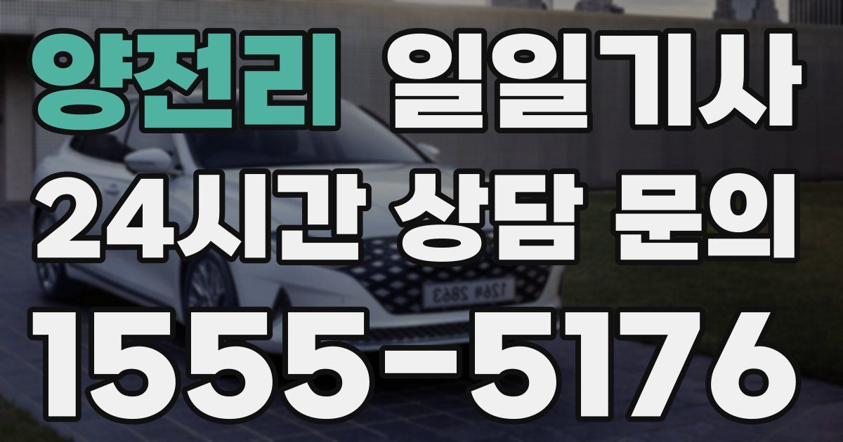 일일대리기사