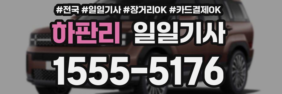 하판리 일일기사