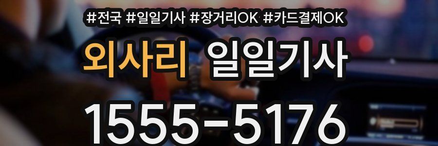 외사리 일일기사