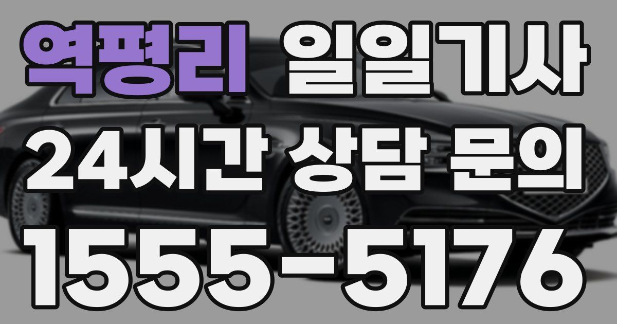 일일대리기사