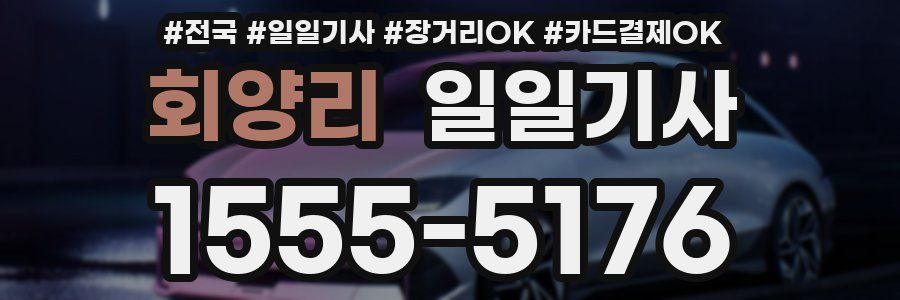 회양리 일일기사