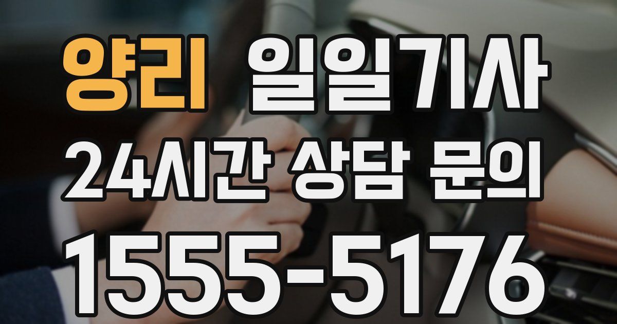 일일대리기사