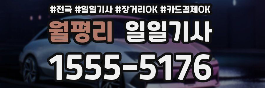 월평리 일일기사