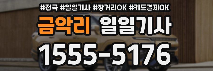 금악리 일일기사