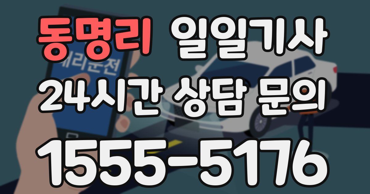 일일대리기사