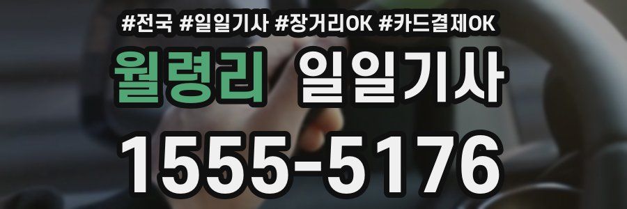 월령리 일일기사