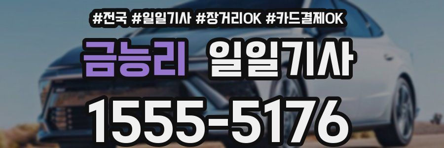 금능리 일일기사