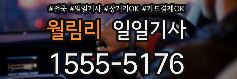 월림리 일일기사