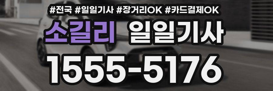 소길리 일일기사