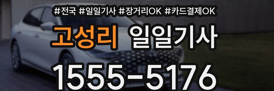 고성리 일일기사