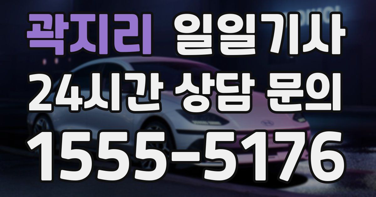 일일대리기사