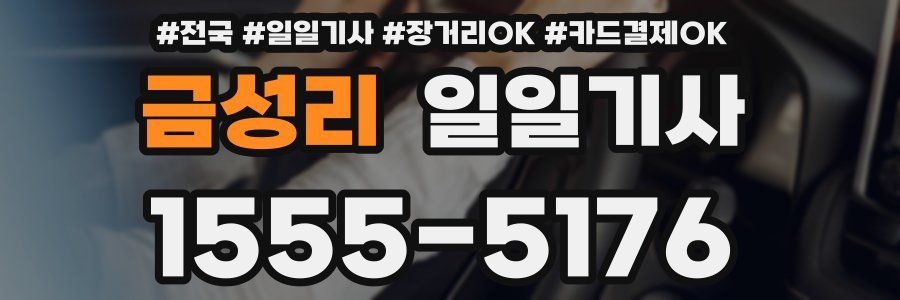금성리 일일기사