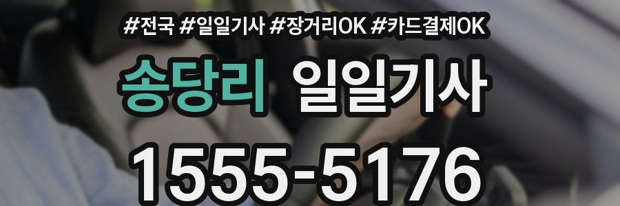 송당리 일일기사