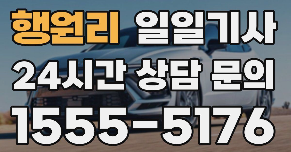 일일대리기사