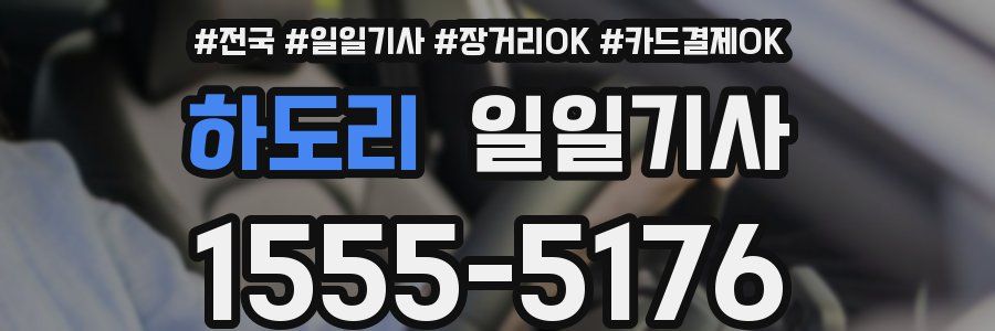 하도리 일일기사